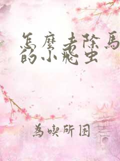 怎么去除马桶里的小飞虫