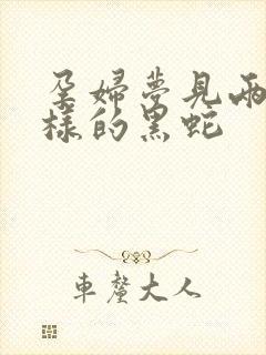 孕妇梦见两条一样的黑蛇