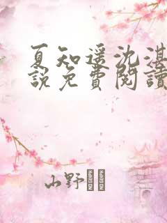 夏知遥沈湛礼小说免费阅读