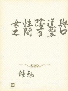 女性阴道与肛门之间有裂口