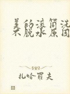 美的滚筒洗衣机不脱水原因及解决方法