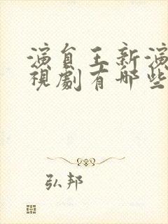 演员王新演的电视剧有哪些