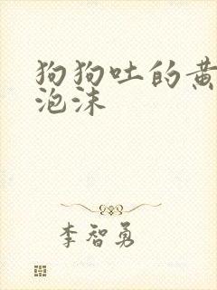 狗狗吐的黄水带泡沫