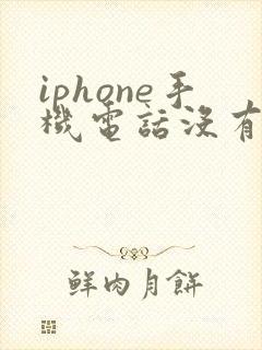 iphone手机电话没有声音