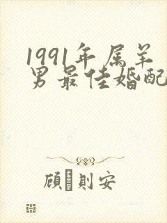 1991年属羊男最佳婚配表