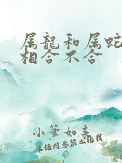 属龙和属蛇的属相合不合