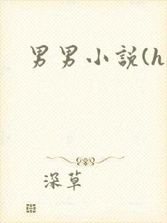 男男小说(h)