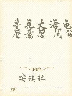 梦见大海龟是什么意思 周公解梦