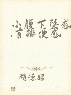 小腹下坠感胀痛,有排便感