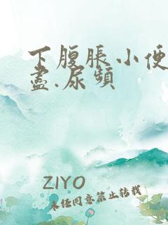 下腹胀小便尿不尽.尿频