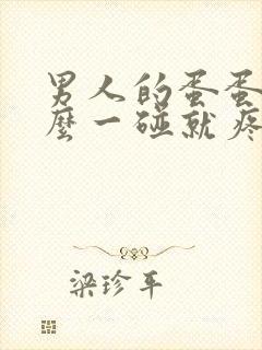 男人的蛋蛋为什么一碰就疼