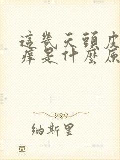 这几天头皮特别痒是什么原因