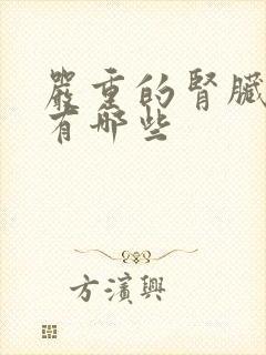 严重的肾脏疾病有哪些