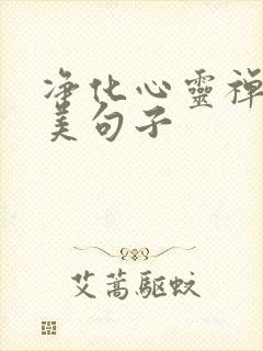 净化心灵禅意唯美句子