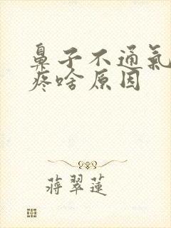 鼻子不通气还头疼啥原因