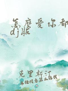 怎么爱你都不够dj版