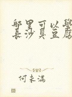 哪里可以学湖南长沙臭豆腐