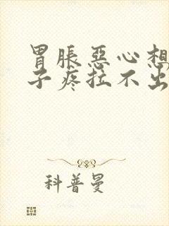 胃胀恶心想吐肚子疼拉不出来大便