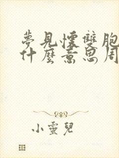 梦见怀双胞胎是什么意思周公解梦