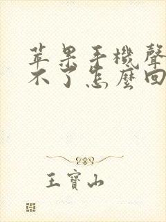 苹果手机声音调不了怎么回事