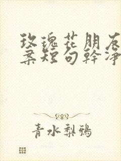 玫瑰花朋友圈文案短句干净