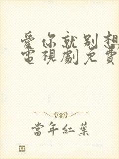 爱你就别想太多电视剧免费播放