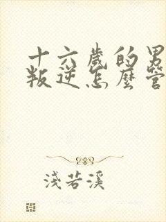 十六岁的男孩子叛逆怎么管教