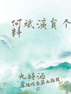 何斌演员个人资料