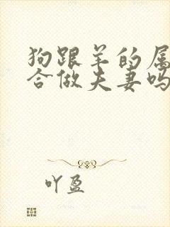 狗跟羊的属相适合做夫妻吗