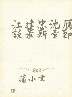 江建忠沈雁冰小说最新章节