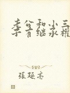 老公和小三的孩子有继承权吗