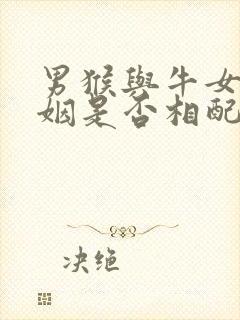 男猴与牛女的婚姻是否相配