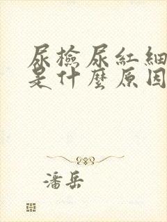 尿检尿红细胞高是什么原因