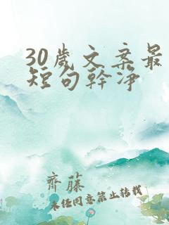 30岁文案最火短句干净