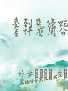 梦到几条蛇预示着什么周公解梦