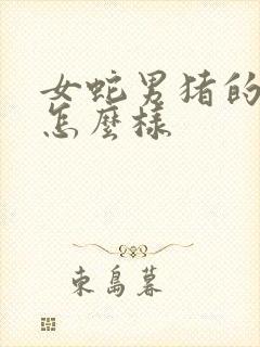 女蛇男猪的姻缘怎么样