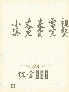 小丈夫电视剧全集免费完整版在线观看