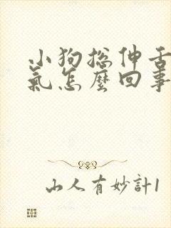 小狗总伸舌头喘气怎么回事