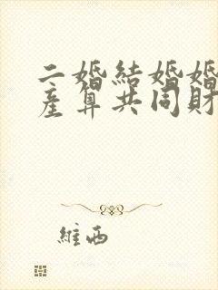 二婚结婚婚前财产算共同财产吗