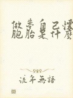 做梦自己怀孕双胞胎是什么意思