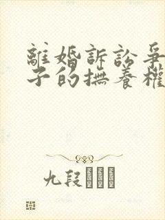 离婚诉讼争夺孩子的抚养权