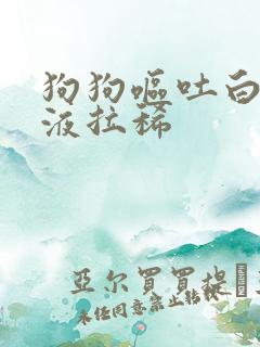 狗狗呕吐白色粘液拉稀