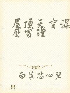 屋顶天窗漏水怎么处理