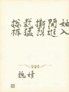 总裁撕开她的内裤猛烈进入在线观看