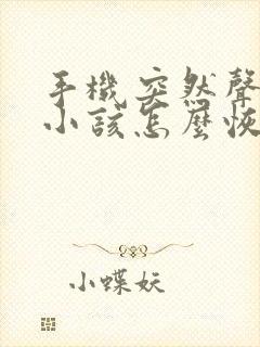 手机突然声音变小该怎么恢复