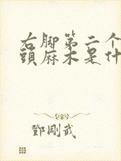 右脚第二个脚趾头麻木是什么原因引起的