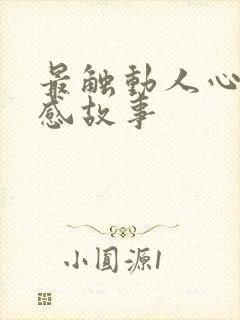 最触动人心的情感故事