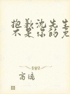 抱歉沈先生孩子不是你的免费短剧