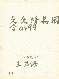 久久精品国产综合av99