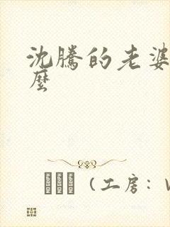 沈腾的老婆叫什么